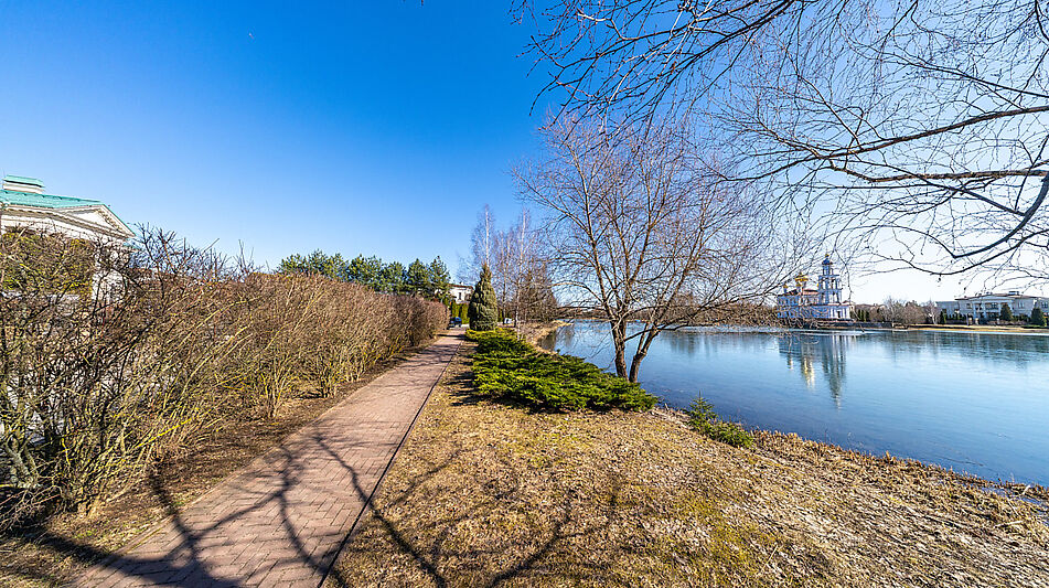 Дом с участком 55 сот в Монолит