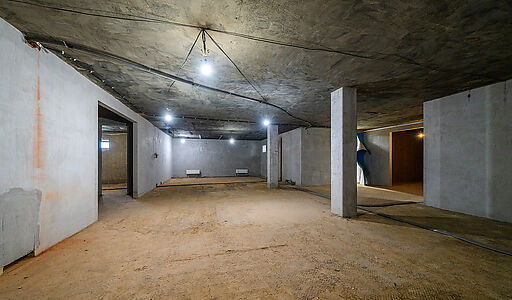 Дом с участком 55 сот в Монолит