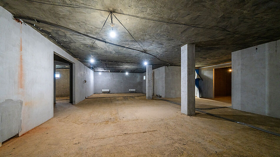 Дом с участком 55 сот в Монолит