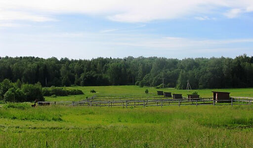 Голенищево