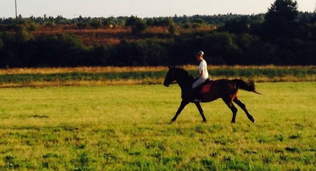 Голенищево