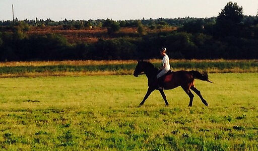 Голенищево