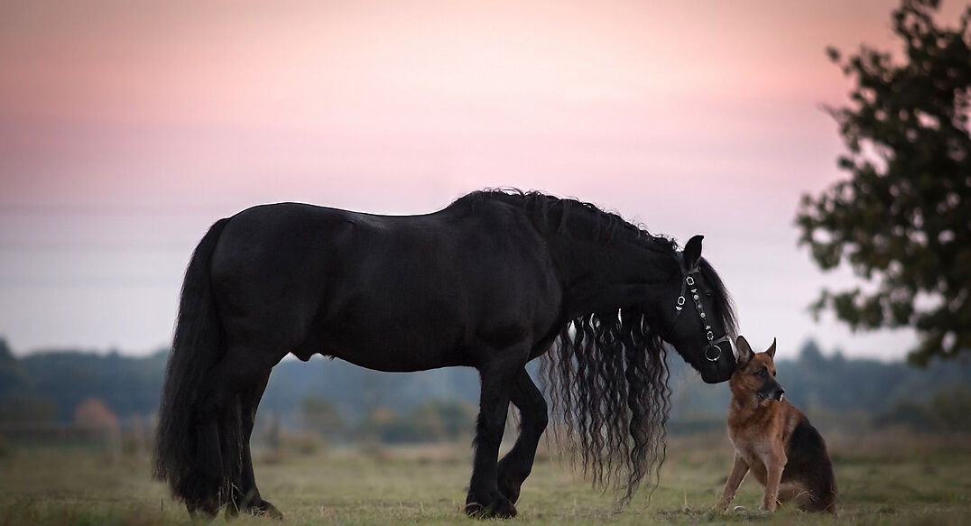 Голенищево
