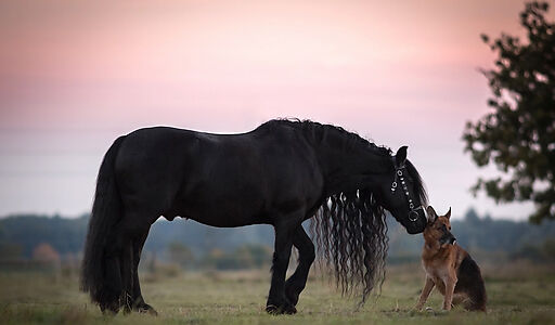 Голенищево