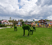 Руза Фэмили Парк