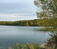 Просторный дом в п. Спас-Каменка