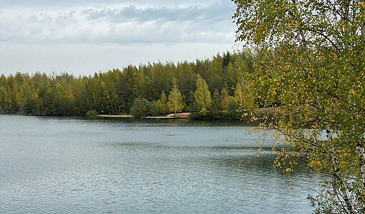 Просторный дом в п. Спас-Каменка