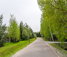 Деревянный дом в Московском море