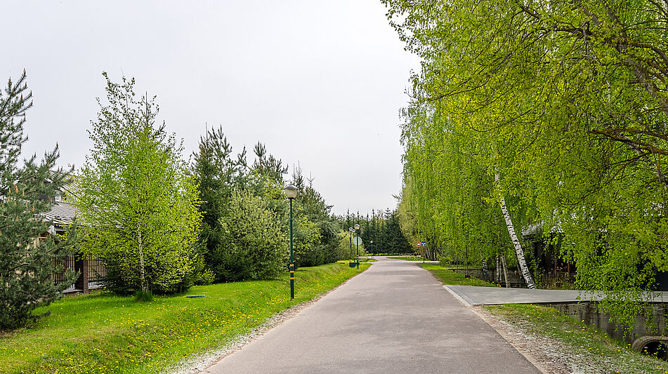 Деревянный дом в Московском море