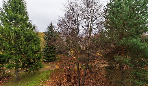 Дом в КП Миллениум парк