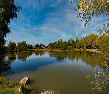 Дом в КП Миллениум парк