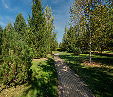 Дом в КП Миллениум парк