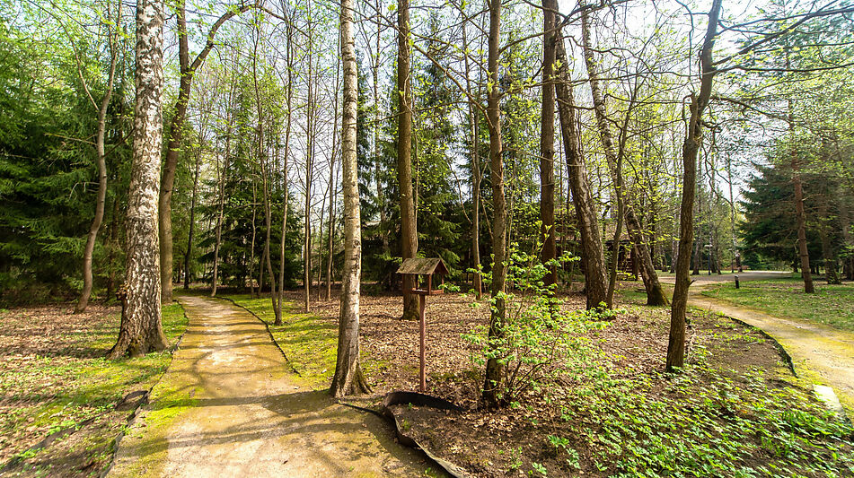 Резиденция в КП Вешки