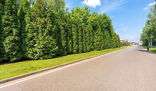 Резиденция в КП Вешки