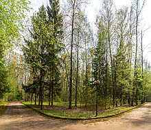 Резиденция в КП Вешки