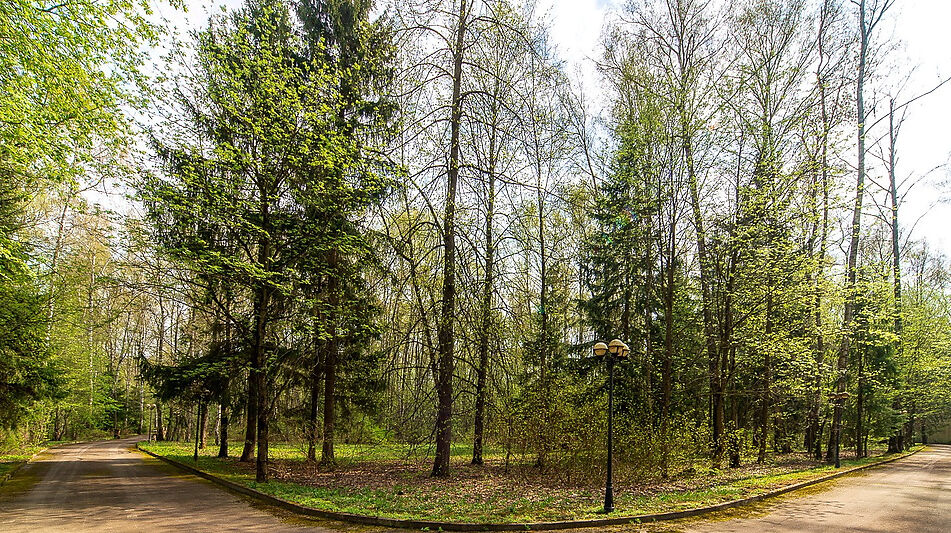 Резиденция в КП Вешки