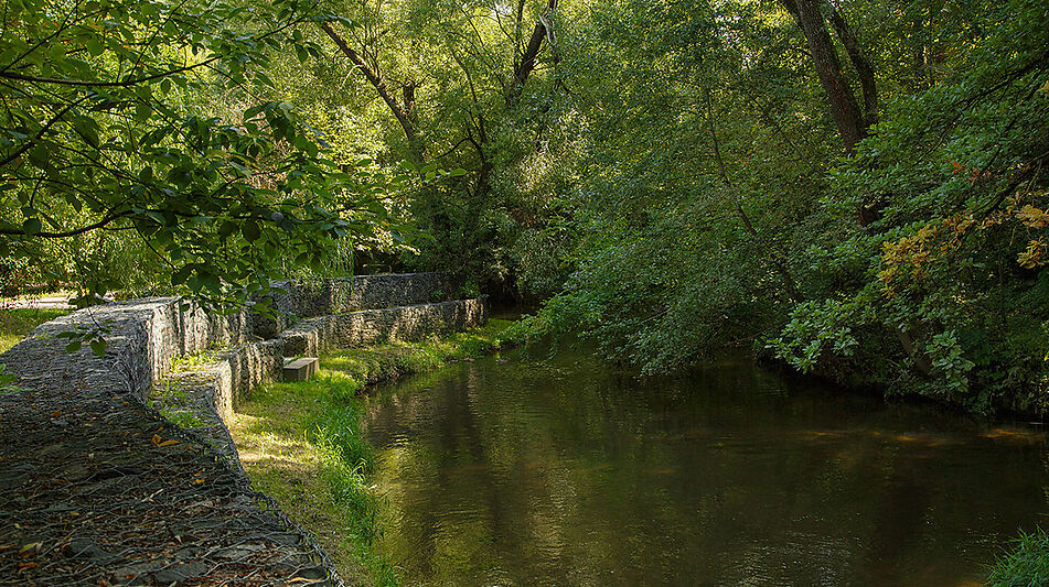 Таунхаус в Олимпийской Деревне