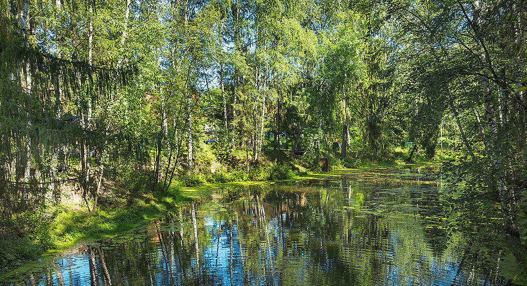 Форест Вилль