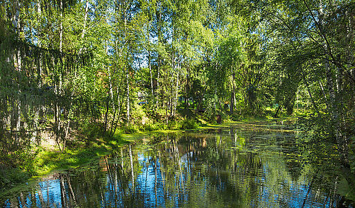 Форест Вилль