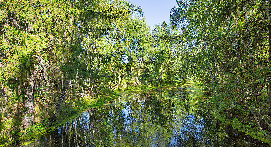 Форест Вилль