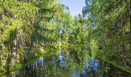 Форест Вилль