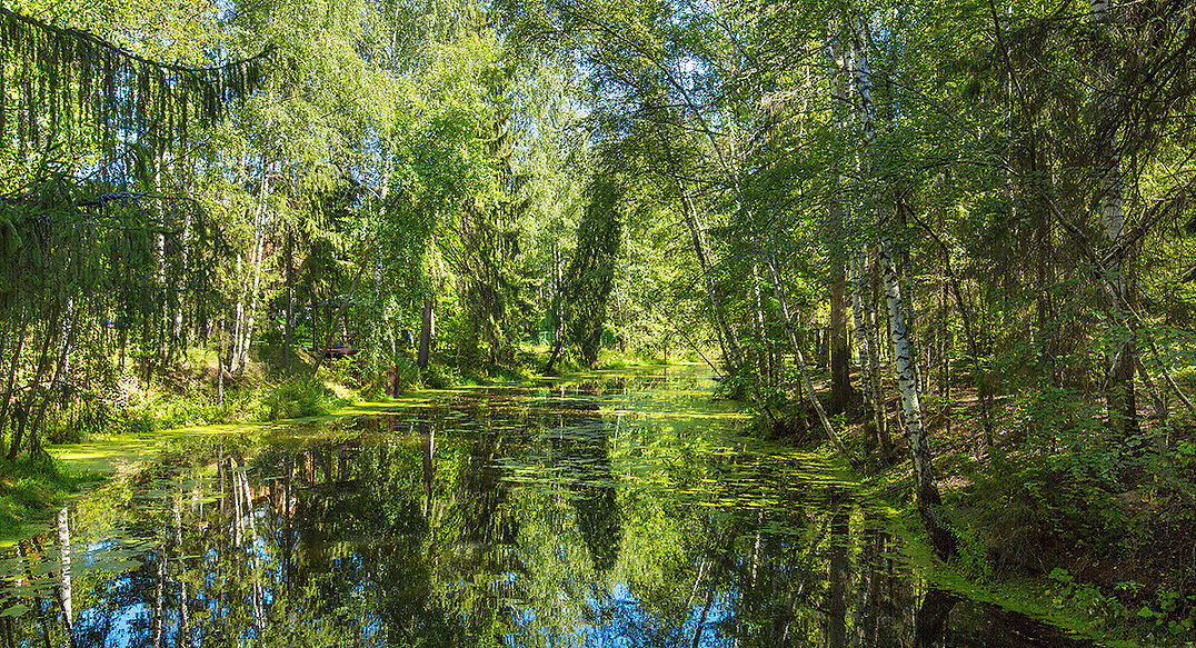 Форест Вилль