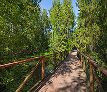 Форест Вилль