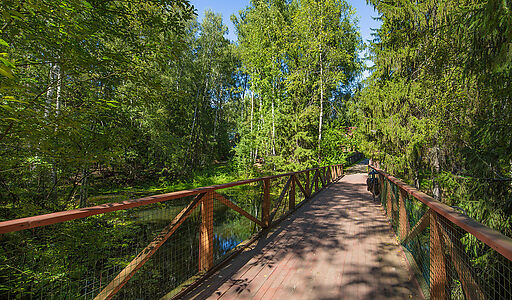 Форест Вилль