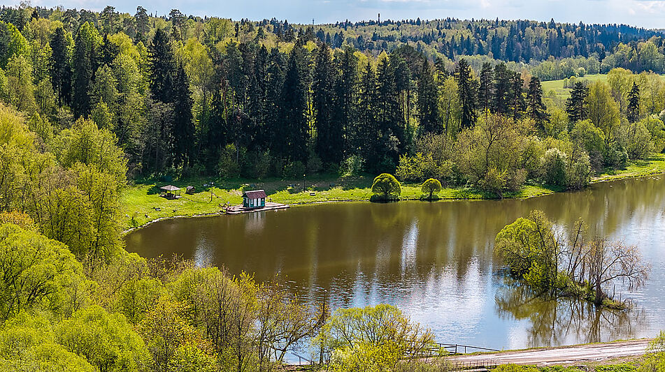 Дом на Рублевке в Санни Хилс