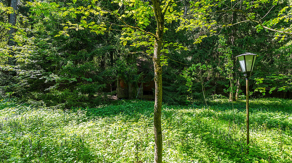Усадьба в лесу в Таганьково