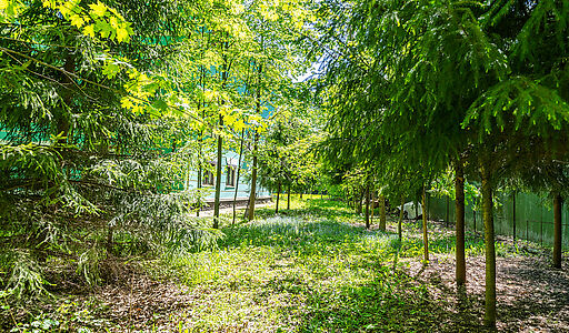 Лесной участок в Таганьково