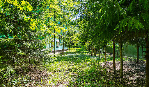 Лесной участок в Таганьково