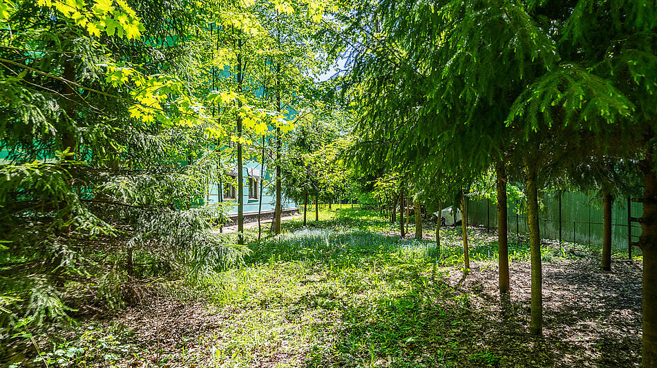 Лесной участок в Таганьково