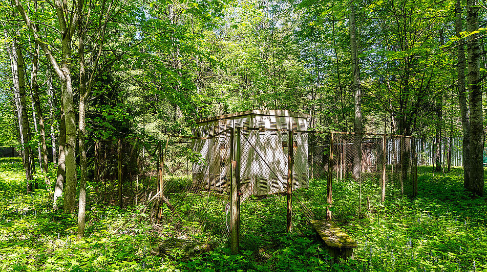 Лесной участок в Таганьково