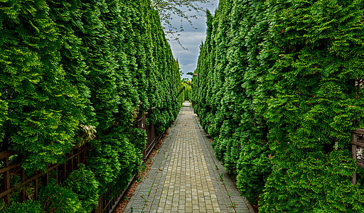 Таунхаус в КП Парк Авеню