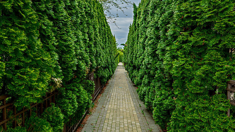 Таунхаус в КП Парк Авеню