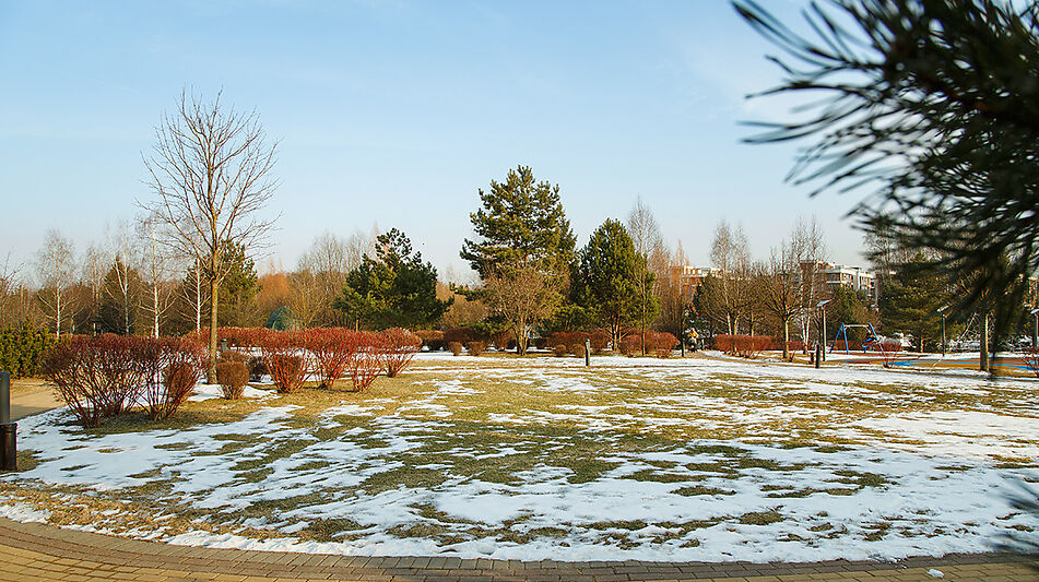 Таунхаус в КП Парк Авеню