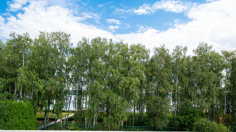 Дом в КП Монаково