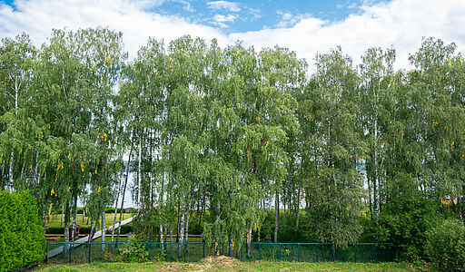 Дом в КП Монаково