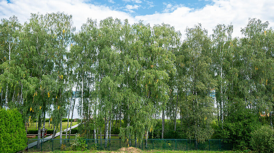 Дом в КП Монаково