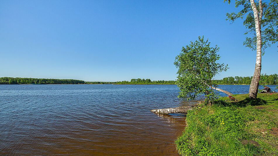 Современный дом в КП Аврора