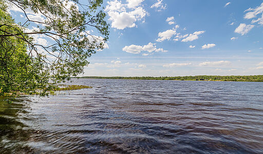 Усадьба - 1 линия Волги в Кимрах