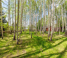 Усадьба - 1 линия Волги в Кимрах