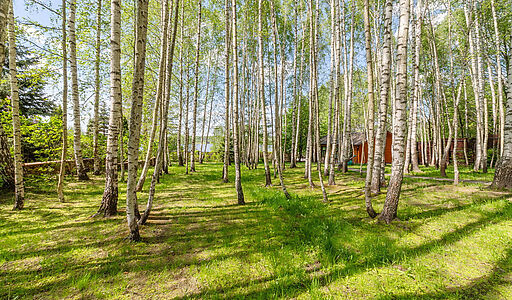 Усадьба - 1 линия Волги в Кимрах