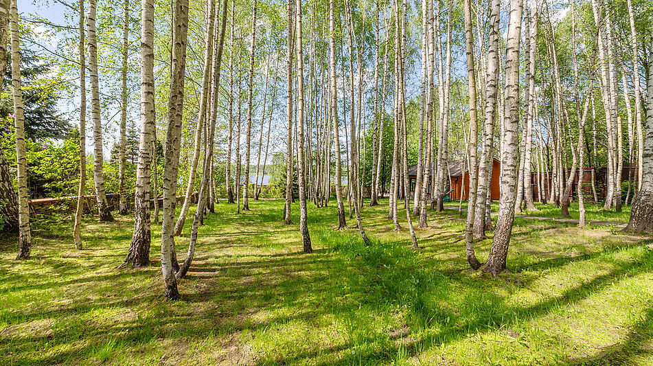 Усадьба - 1 линия Волги в Кимрах