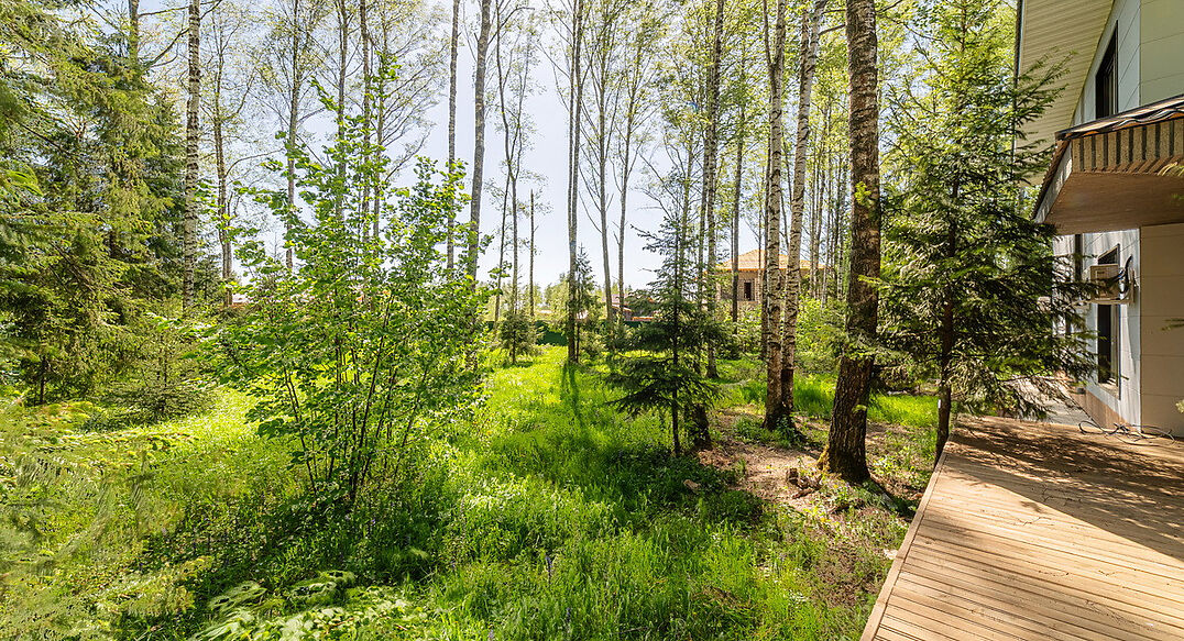 Лесная Поляна