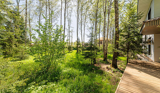 Лесная Поляна