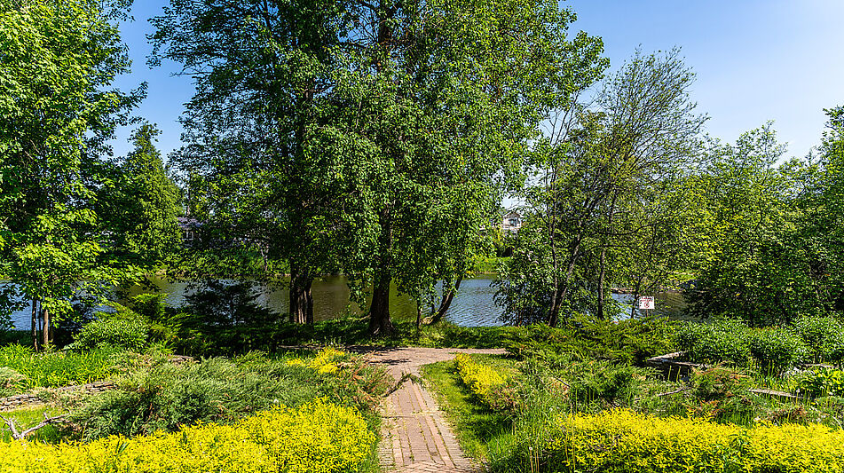 Лесной участок в КП Риверсайд