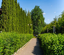 Лесной участок в КП Риверсайд