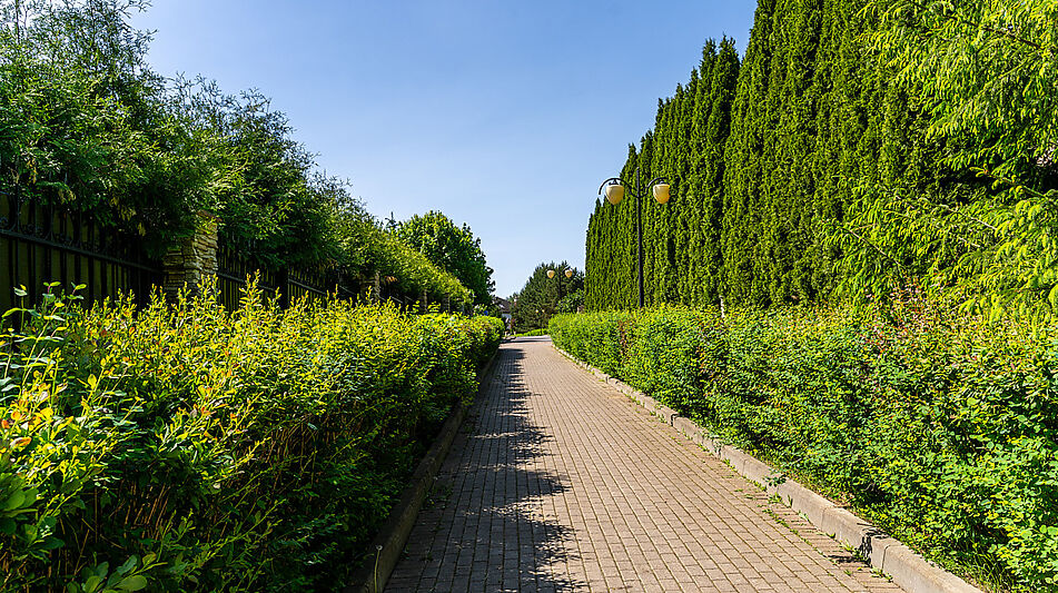 Лесной участок в КП Риверсайд